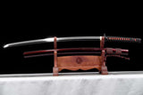 Koi Shinkōshoku T10 Clay Tempered Carbon Steel Katana Samurai Sword