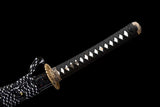 Raikiri T10 Clay Tempered Katana Samurai Sword