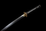 Raikiri T10 Clay Tempered Katana Samurai Sword