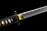 Akai Mayonaka High Carbon Steel Katana Sword