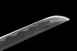 Akai Mayonaka High Carbon Steel Katana Sword