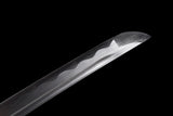 Kokina Tora High Carbon Steel Katana Sword