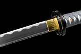 Namerakana Kuro High Carbon Steel Katana Sword