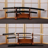 Arkady Carbon Steel Samurai Sword Set