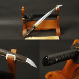 Knight Clay Tempered Folded Carbon Steel Tanto Sword