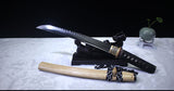 Hone T10 Clay Tempered Steel Tanto Sword