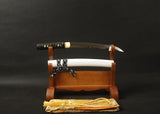 Timex Clay Tempered Carbon Steel Tanto Sword