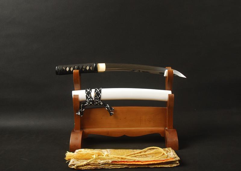 Timex Clay Tempered Carbon Steel Tanto Sword