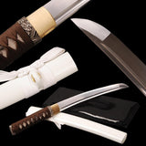 Toshiaki Carbon Steel Tanto Sword