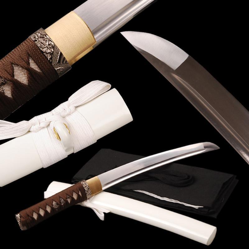 Toshiaki Carbon Steel Tanto Sword