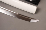 Toshiaki Carbon Steel Tanto Sword