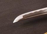 Toshio Carbon Steel Tanto Sword