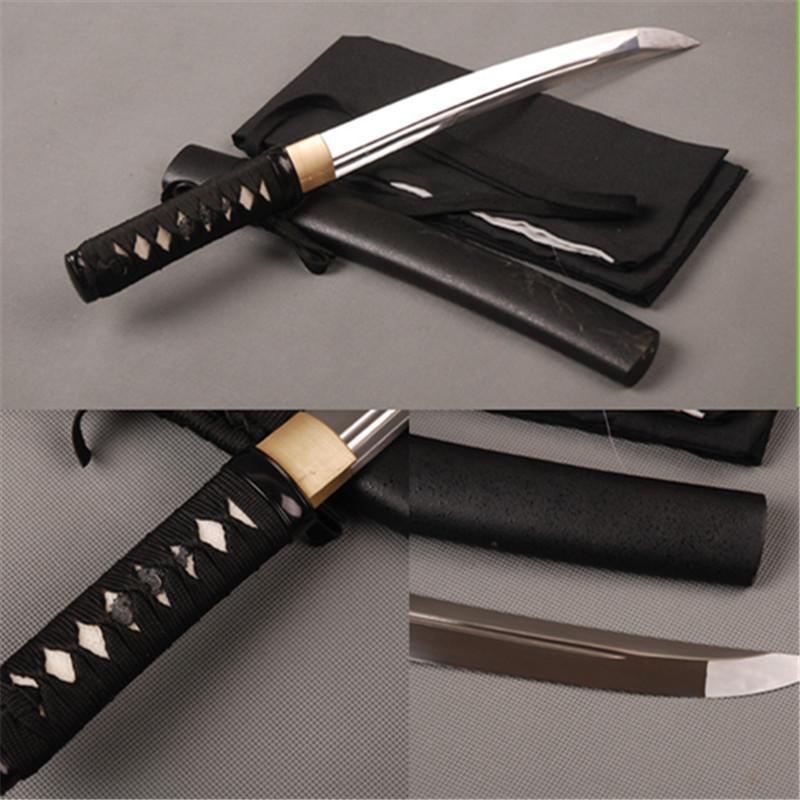 Toshiyuki Carbon Steel Tanto Sword