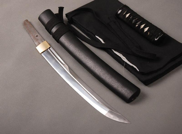 Toshiyuki Carbon Steel Tanto Sword